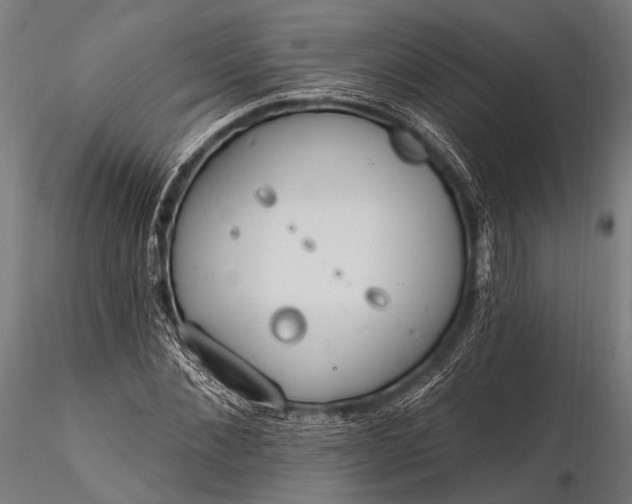 X0000116110876200912071320