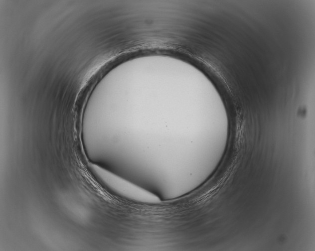 X0000116110878200912071320