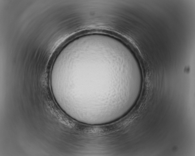 X0000116110879200912071320