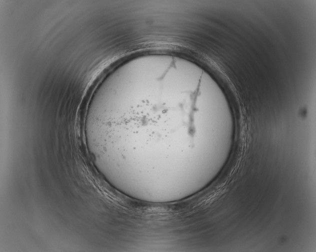 X0000116110883200912071320