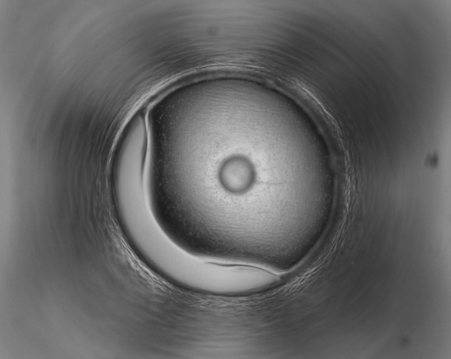 X0000116110884200912071320