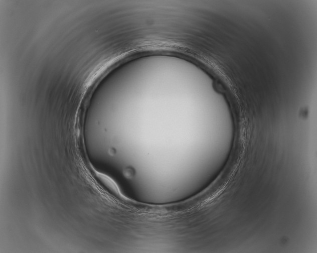 X0000116110885200912071320