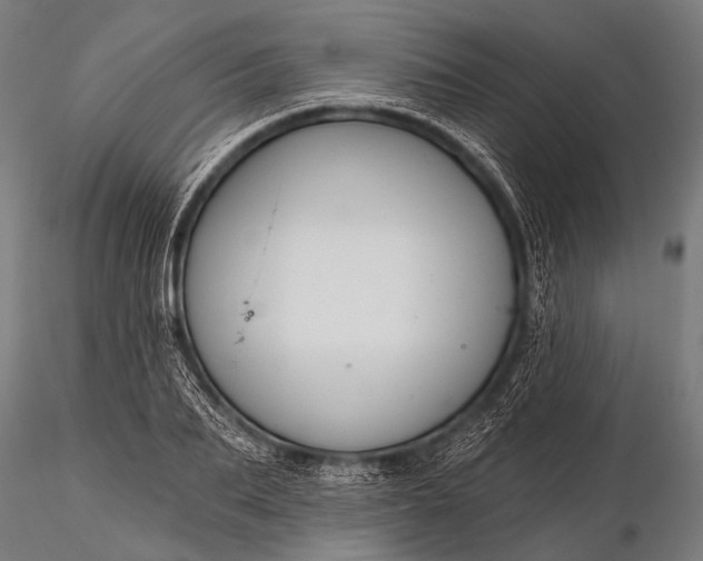 X0000116110887200912071320