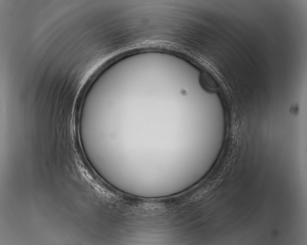 X0000116110888200912071320