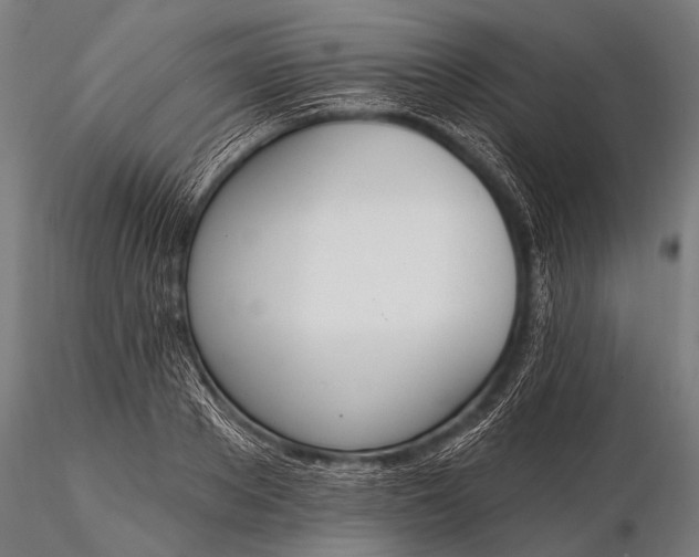 X0000116110889200912071320