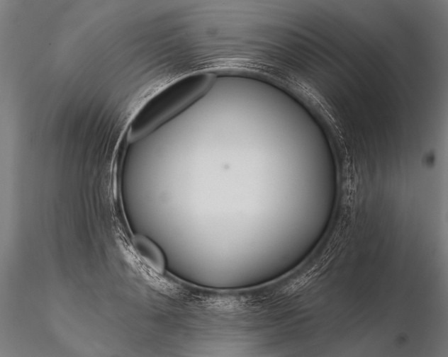 X0000116110892200912071320