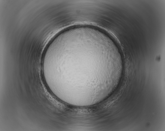 X0000116110895200912071320