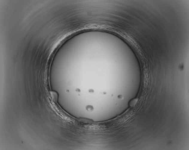 X0000116110896200912071320