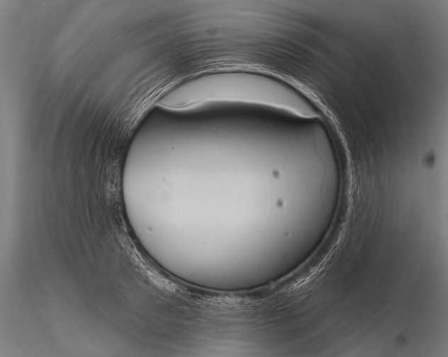 X0000116110897200912071320