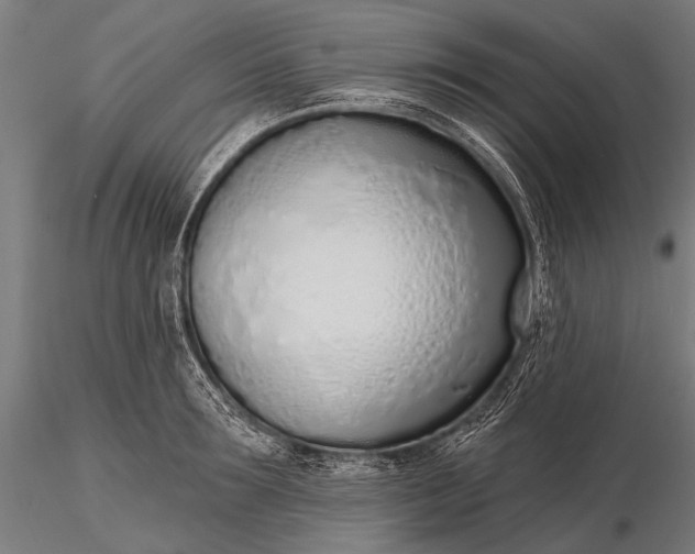 X0000116110899200912071320