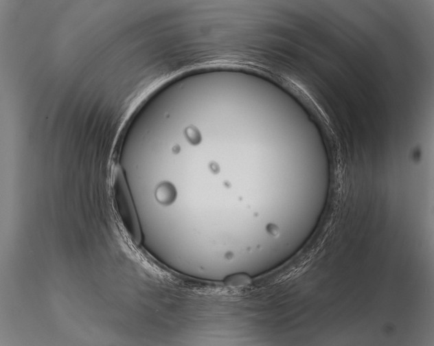 X0000116110900200912071320