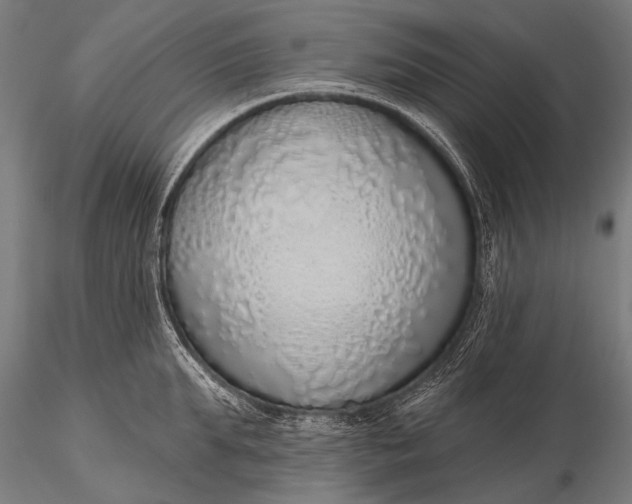 X0000116110903200912071320