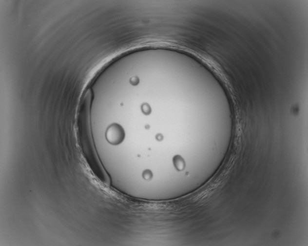 X0000116110904200912071320