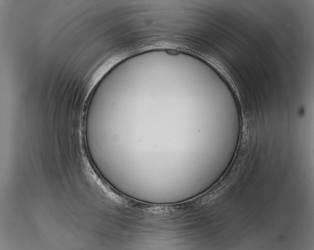 X0000116110906200912071320