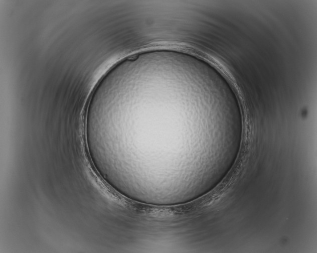 X0000116110907200912071320