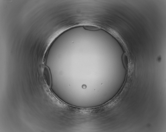 X0000116110908200912071320