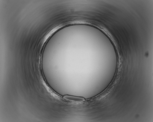 X0000116110909200912071320