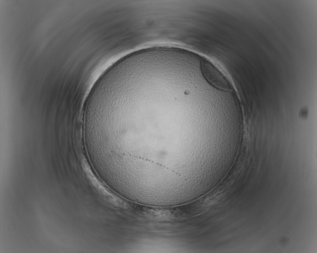 X0000116110911200912071320