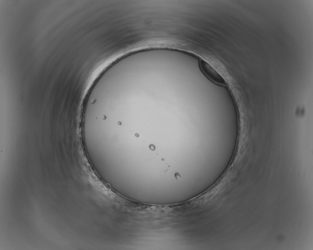 X0000116110912200912071320