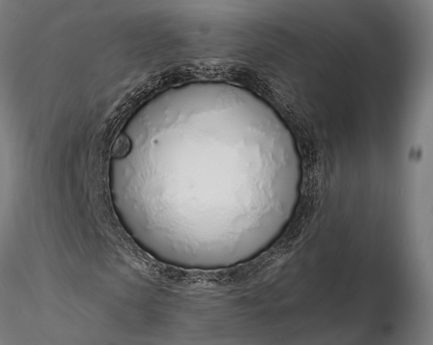 X0000116110913200912071319