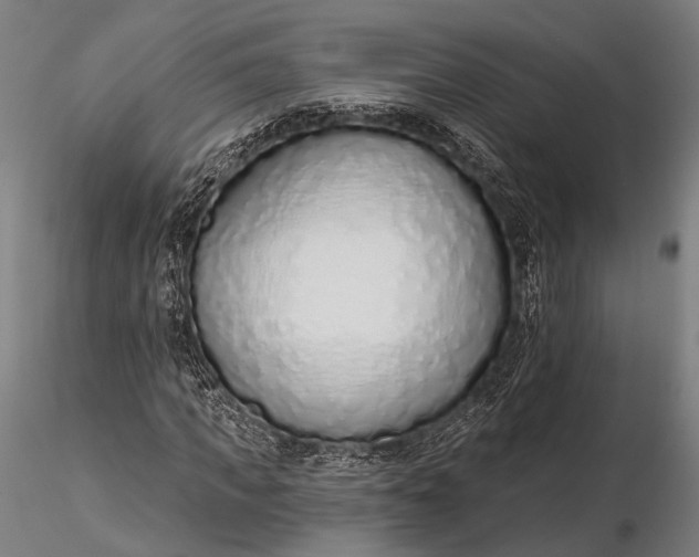 X0000116110917200912071319