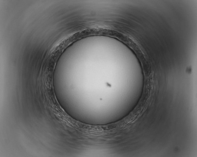 X0000116110919200912071319