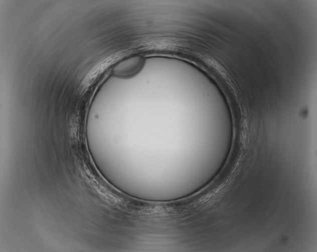 X0000116110922200912071319