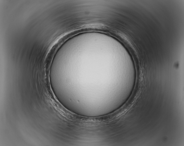 X0000116110923200912071319