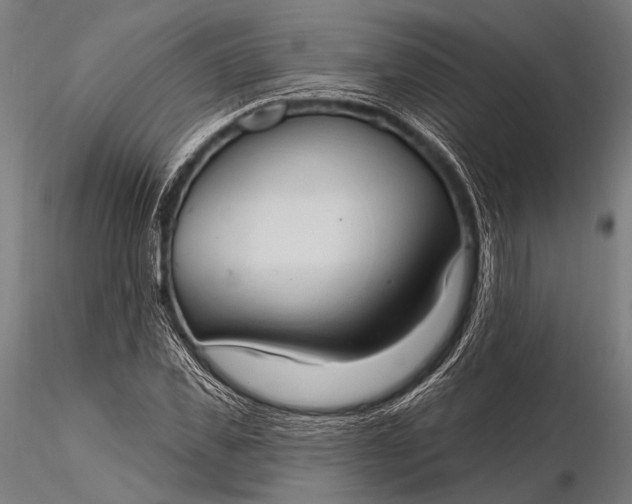 X0000116110925200912071319