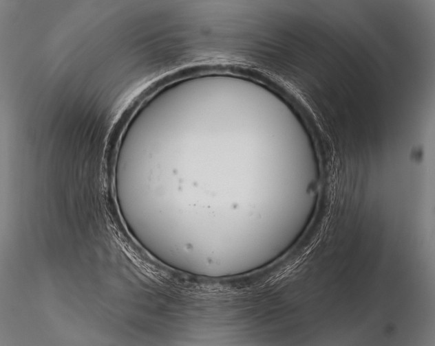 X0000116110927200912071319