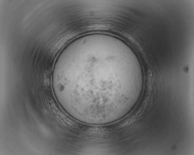 X0000116110929200912071319