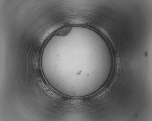 X0000116110930200912071319