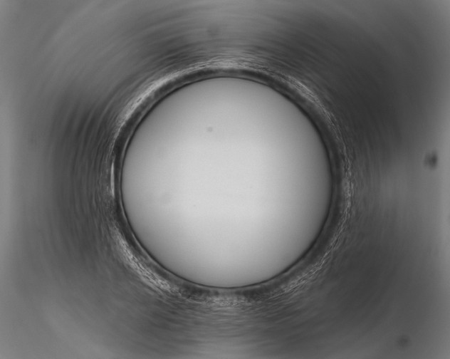 X0000116110934200912071319