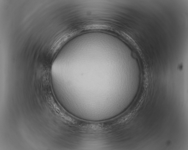 X0000116110937200912071319