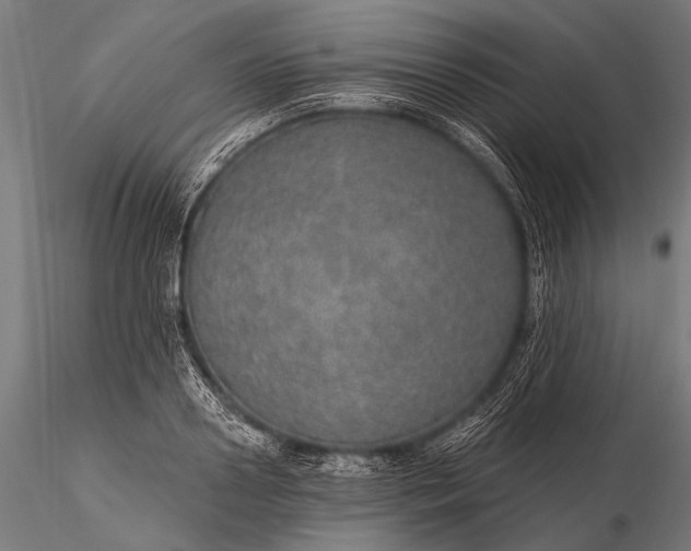 X0000116110938200912071319