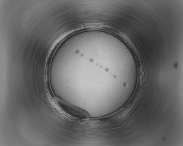 X0000116110939200912071319