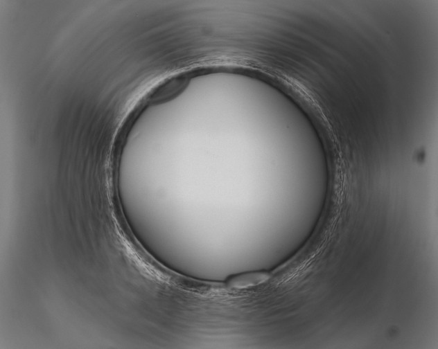 X0000116110942200912071319