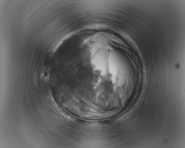 X0000116110945200912071319