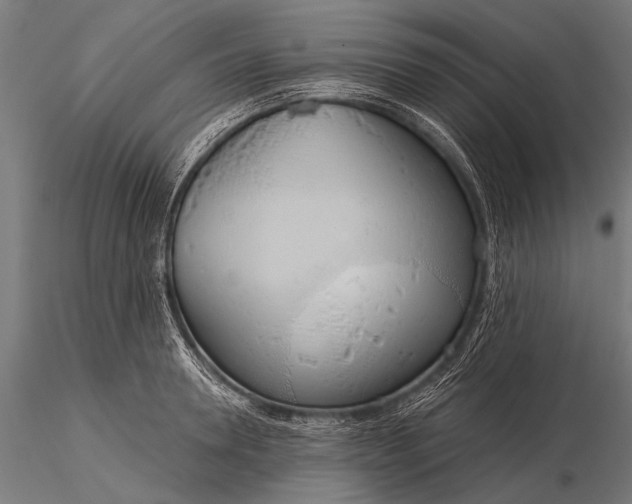 X0000116110946200912071319