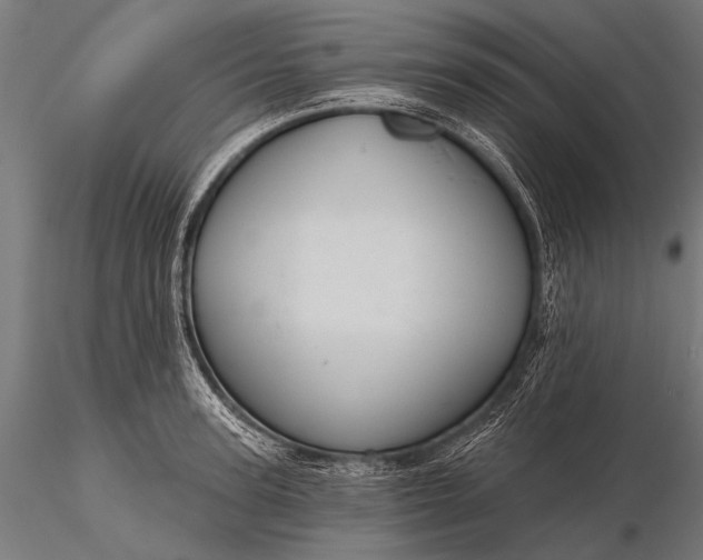 X0000116110947200912071319