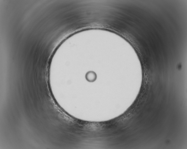 X0000116110950200912071319