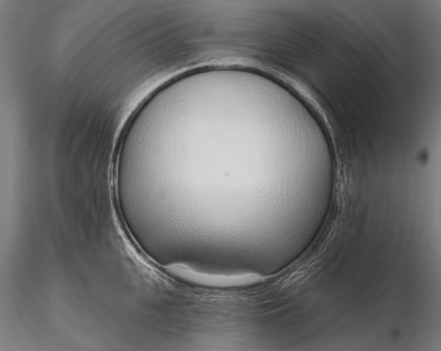 X0000116110951200912071319