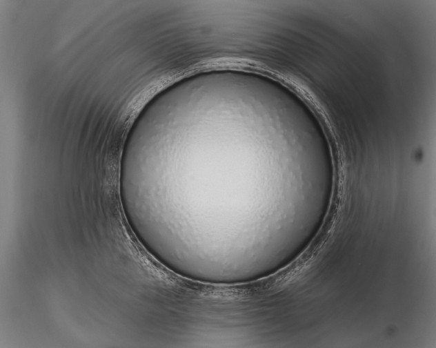 X0000116110953200912071319