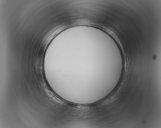 X0000116110954200912071319