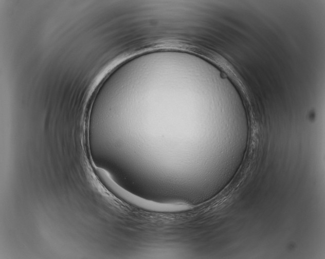 X0000116110955200912071319