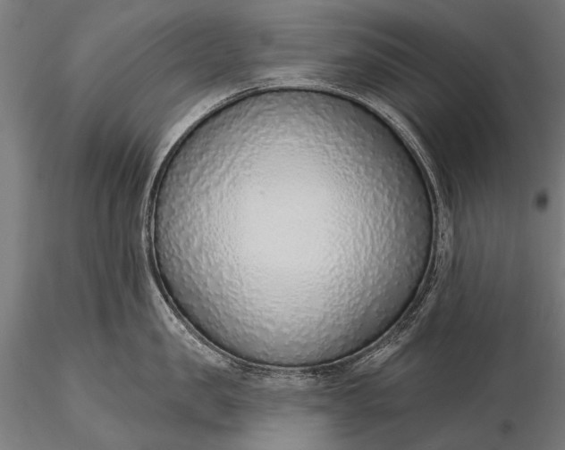 X0000116110957200912071319