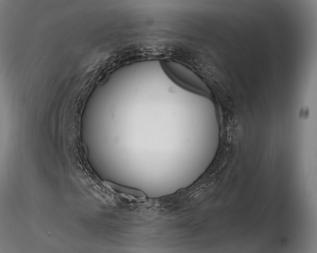 X0000116110961200912071319