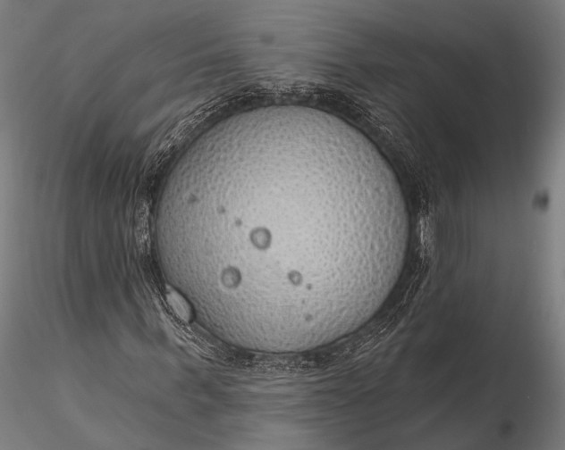 X0000116110963200912071319