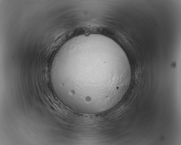 X0000116110964200912071319