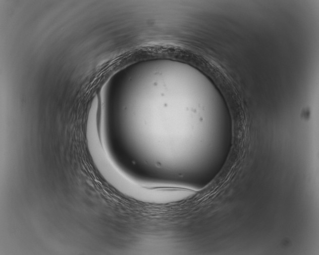 X0000116110965200912071319